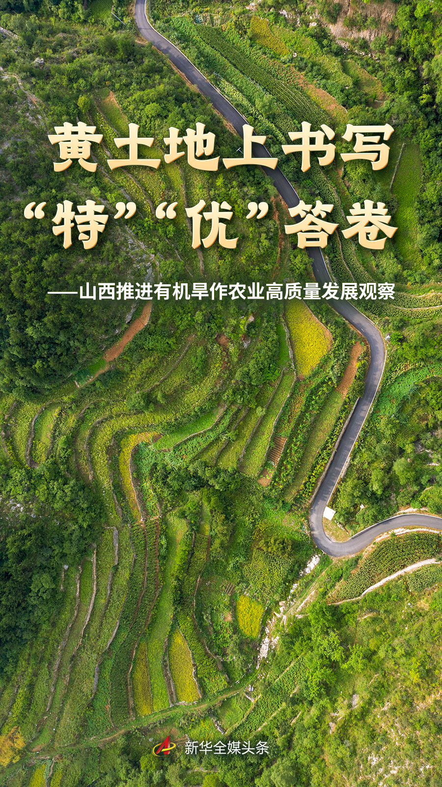 麻将胡了围绕麻将胡了游戏不断创新，回应用户的真实需求。 - 麻将胡了